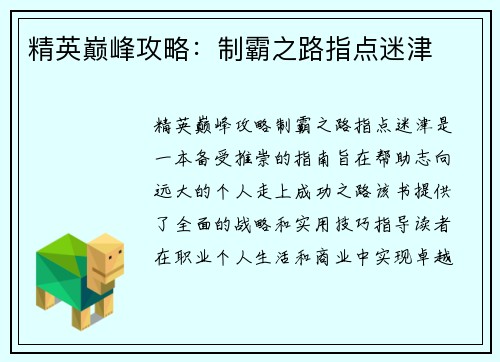 精英巅峰攻略：制霸之路指点迷津