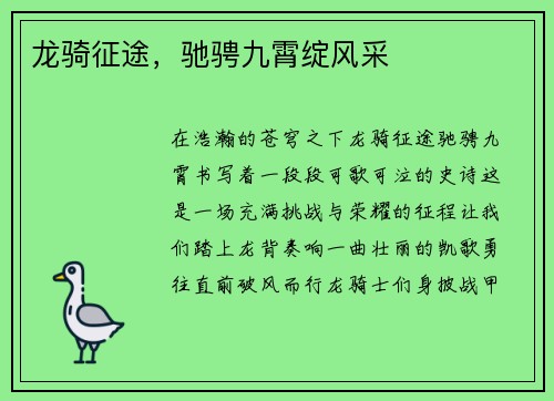 龙骑征途，驰骋九霄绽风采